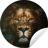 Wallpaper Circle - Animaux - Lion - Predator - 100x100 cm - Wall Circle - Autocollant - Wallpaper Sticker XXL