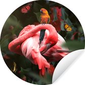 Papier peint cercle - Flamingo - Animaux - Jungle - 100x100 cm - Cercle mural - Autocollant - Papier peint autocollant XXL