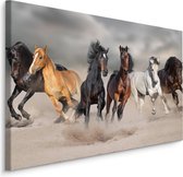 Schilderij - Kudde wilde paarden, premium print, wanddecoratie