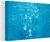 Canvas Schilderij Dolfijn - Water - Zee - 30x20 cm - Wanddecoratie