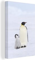 Canvas Schilderij Pinguïn - Sneeuw - Kuiken - 60x90 cm - Wanddecoratie