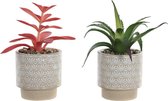 Decoratieve plant DKD Home Decor Wit Groen Roze Keramisch Polyethyleen (2 pcs) (8 x 8 x 18 cm)