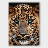 Poster Leopard Close-up - Papier - Meerdere Afmetingen & Prijzen | Wanddecoratie - Interieur - Art - Wonen - Schilderij - Kunst