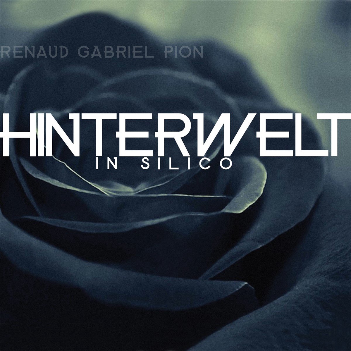 Renaud Gabriel Pion - Hinterwelt In Silico (CD)