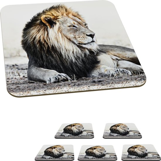 Onderzetters voor glazen - Dieren - Portret - Kleur - 10x10 cm - Glasonderzetters - 6 stuks