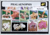 Phalaenopsis – Luxe postzegel pakket (A6 formaat) : collectie van verschillende postzegels van Phalaenopsis – kan als ansichtkaart in een A6 envelop - authentiek cadeau - kado - ge