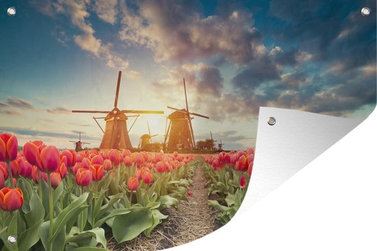 Posters de jardin extérieur Moulin à vent - Fleurs - Soleil - 90x60 cm - Toile de jardin - Affiche extérieure