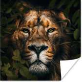 Poster Planten - Leeuw - Jungle - 30x30 cm