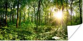 Affiche Forêt - Soleil - Printemps - 150x75 cm