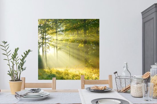 Stickers muraux - Forêt - Lumière - Printemps - 100x100 cm - Film Adhésif XXL