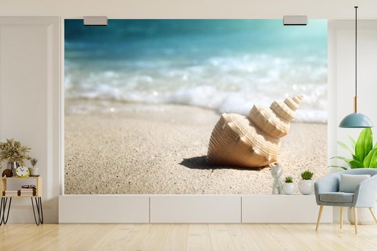 Papier peint - Papier peint photo Coquillage - Plage - Mer - Largeur 420 cm x hauteur 280 cm