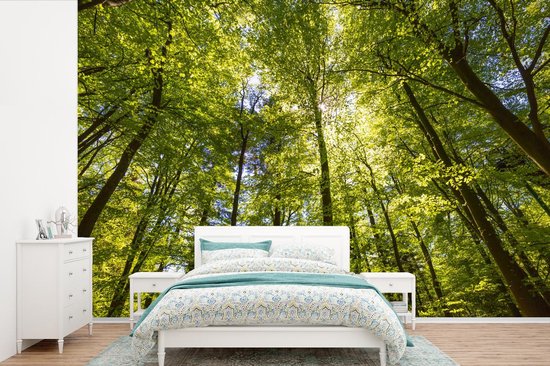 Behang - Fotobehang Bos - Zomer - Bladeren - Breedte 330 cm x hoogte 220 cm