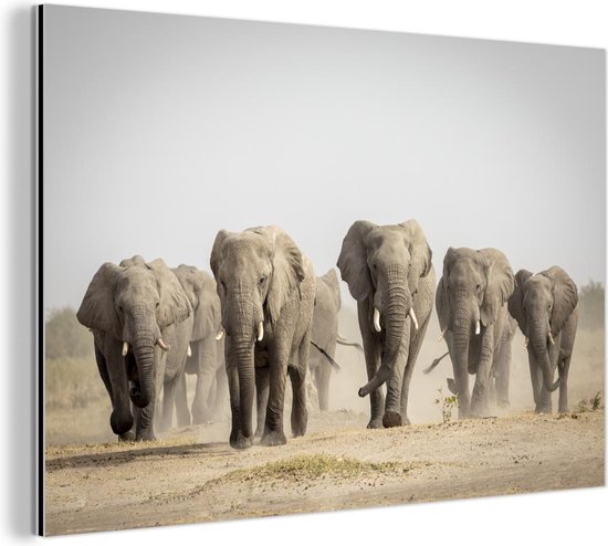 Wanddecoratie Metaal - Aluminium Schilderij Industrieel - Olifant - Afrikaans - Stof - 90x60 cm - Dibond - Foto op aluminium - Industriële muurdecoratie - Voor de woonkamer/slaapkamer