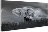 Schilderij - Moeder en baby olifant, Zwart-Wit,  2 maten, Premium print