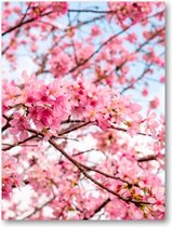 Roze Bloesem met een Blauwe Lucht - 30x40 Poster Staand - Besteposter - Landschap - Natuur - Bloemen