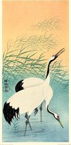 Poster - Ohara Koson Two Cranes - 60 X 30 Cm - Multicolor