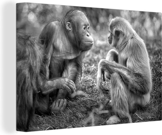 Canvas Schilderij Pratende gibbon en orang-oetan - zwart wit - 30x20 cm - Wanddecoratie