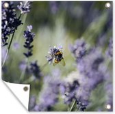 Tuinposters Hommel - Lavendel - Insecten - 50x50 cm - Tuindoek - Buitenposter