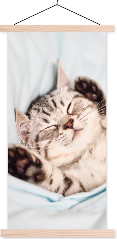 Porte-affiche avec affiche - Affiche scolaire - Chaton - Lit - Pieds - Filles - Enfants - Garçons - Enfant - 40x80 cm - Lattes vierges