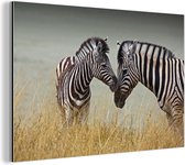 Wanddecoratie Metaal - Aluminium Schilderij Industrieel - Moeder zebra en haar jong - 60x40 cm - Dibond - Foto op aluminium - Industriële muurdecoratie - Voor de woonkamer/slaapkamer