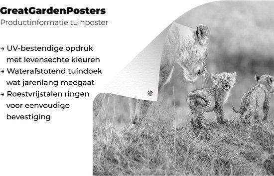 Posters de jardin extérieur Lionne avec son garçon - noir et blanc - 90x60 cm - Toile de jardin - Affiche extérieure