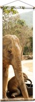 WallClassics - Textielposter - Olifanten bij de Waterbak - 40x120 cm Foto op Textiel