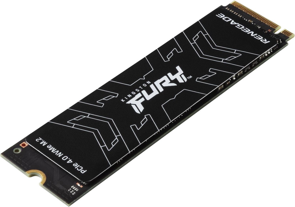 Kingston FURY Renegade 500 GB - Solid state drive