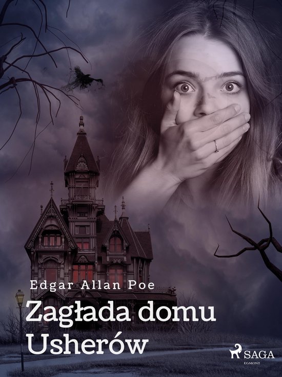 Zagłada Domu Usherów Ebook Edgar Allan Poe 9788728482582 Boeken 4860