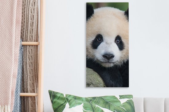 OneMillionCanvasses - Canvas - Panda - Steen - Natuur - Muurdecoratie - 20x40 cm - Canvas schilderij - Canvas doek