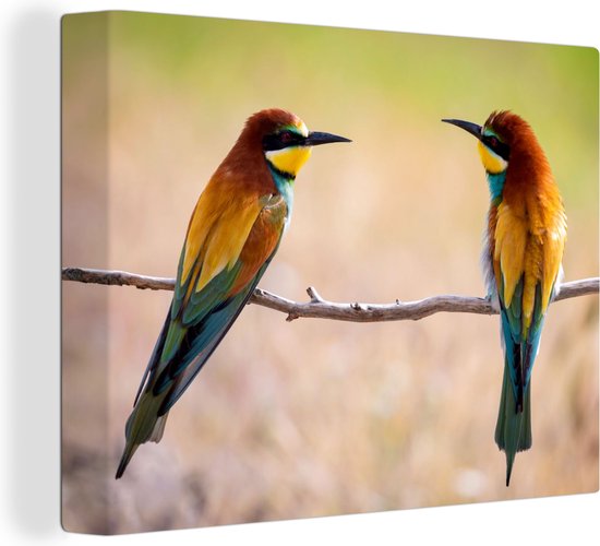 Tableau Toile Vogels - Guêpier - Animaux - 160x120 cm - Décoration murale XXL