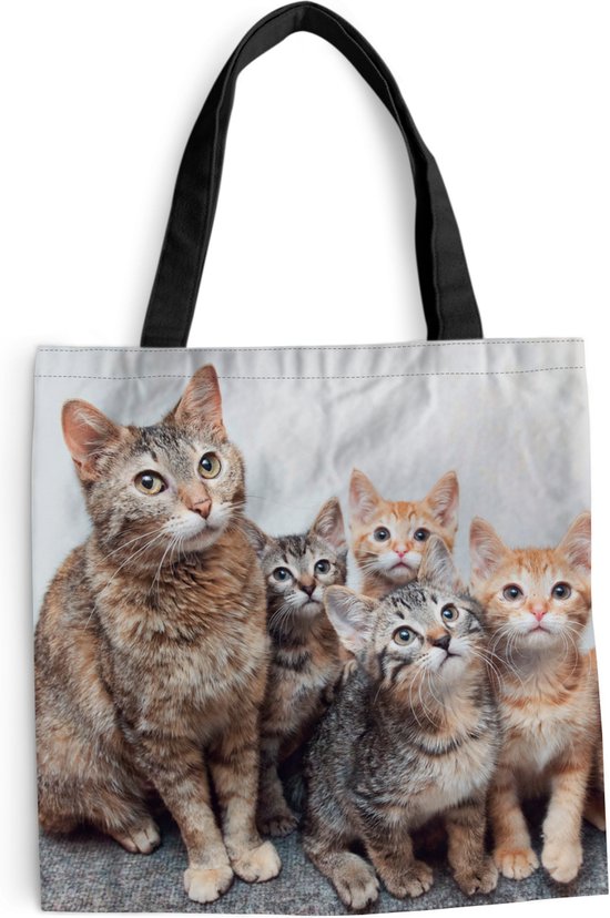 MuchoWow® Schoudertas - Strandtas - Big Shopper - Boodschappentas - Kat - Kittens - Vacht - 45x45 cm - Katoenen tas