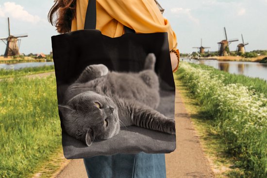 MuchoWow® Schoudertas - Strandtas - Big Shopper - Boodschappentas - Dier - Poes - Grijs - 45x45 cm - Katoenen tas