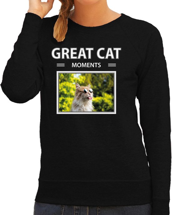Dieren foto sweater rode kat - zwart - dames - great cat mowoments - cadeau trui katten liefhebber S
