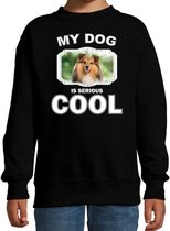 Sheltie honden trui / sweater my dog is serious cool zwart - kinderen - Shelties liefhebber cadeau sweaters - kinderkleding / kleding 122/128