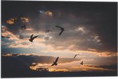 WallClassics - Vlag - Vogels in de Lucht bij Zonsondergang - 60x40 cm Foto op Polyester Vlag