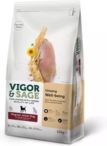 Vigor & Sage Hondenvoer Regular Well-Being Ginseng 12 kg