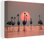 Canvas schilderij - Flamingo - Zon - Roze - Vogel - Tropisch - Foto op canvas - 160x120 cm - Canvas doek - Wanddecoratie