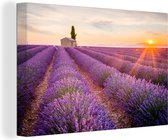 Canvas schilderij - Lavendel - Bloemen - Zonsondergang - Natuur - Schilderijen op canvas - Foto op canvas - 120x80 cm - Muurdecoratie
