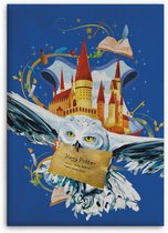 Aymax Fleecedeken Harry Potter: Hedwig 140 X 110 Cm