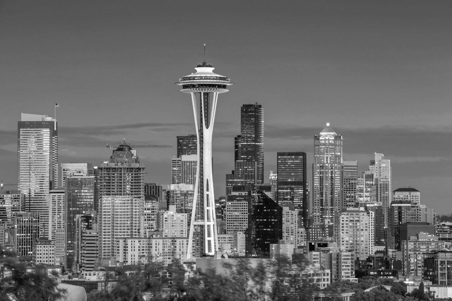 Vgdesign Seattle skyline zwart wit 70x50 tuinposter banner VGDesign onbekend