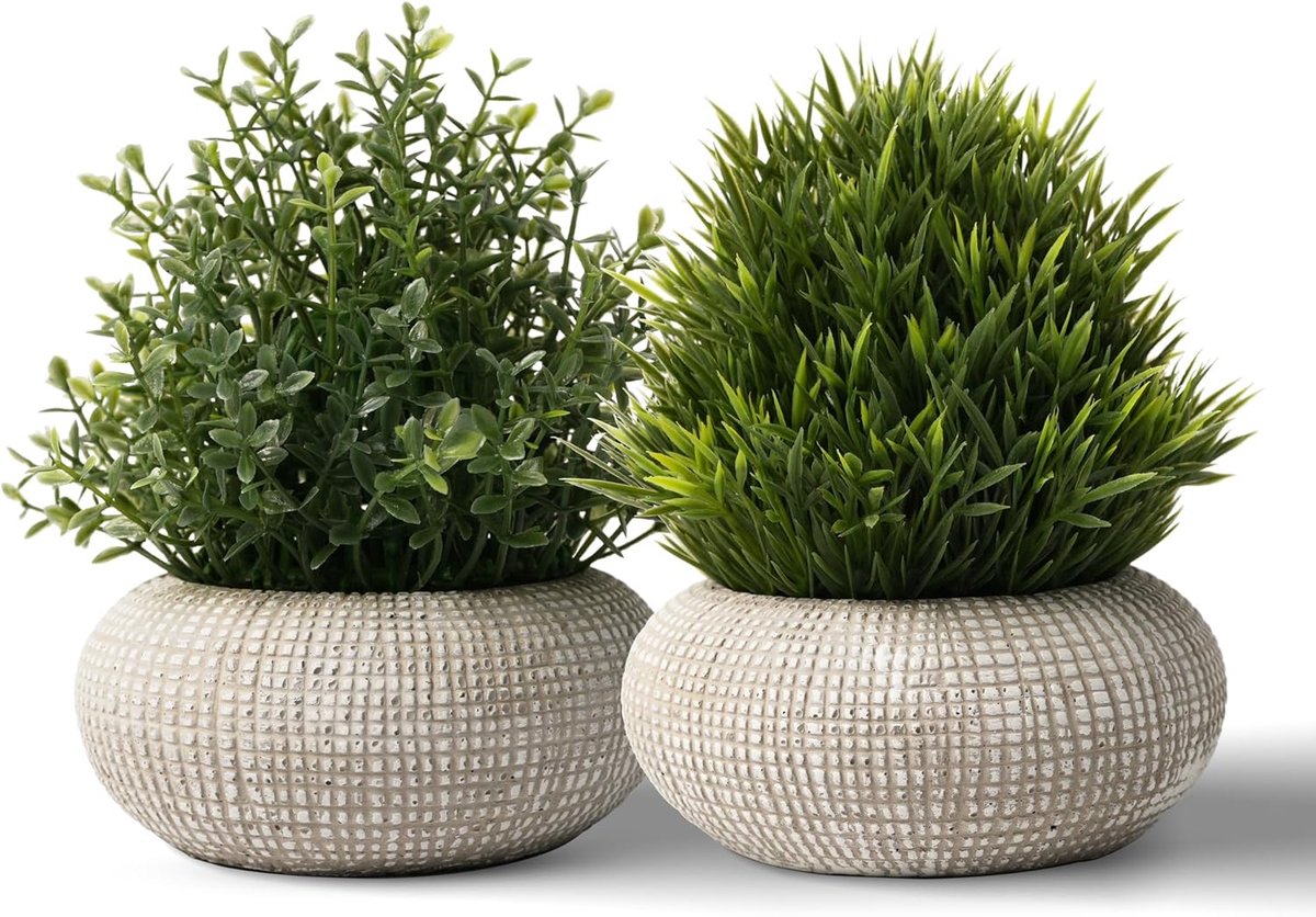 SnelShoppen - 2 Stuks Kunstplanten in Betonnen Potten, Kleine Valse Planten voor Binnen, Decoratie voor Huis, Badkamer, Kantoor, Tafel, Boxwood