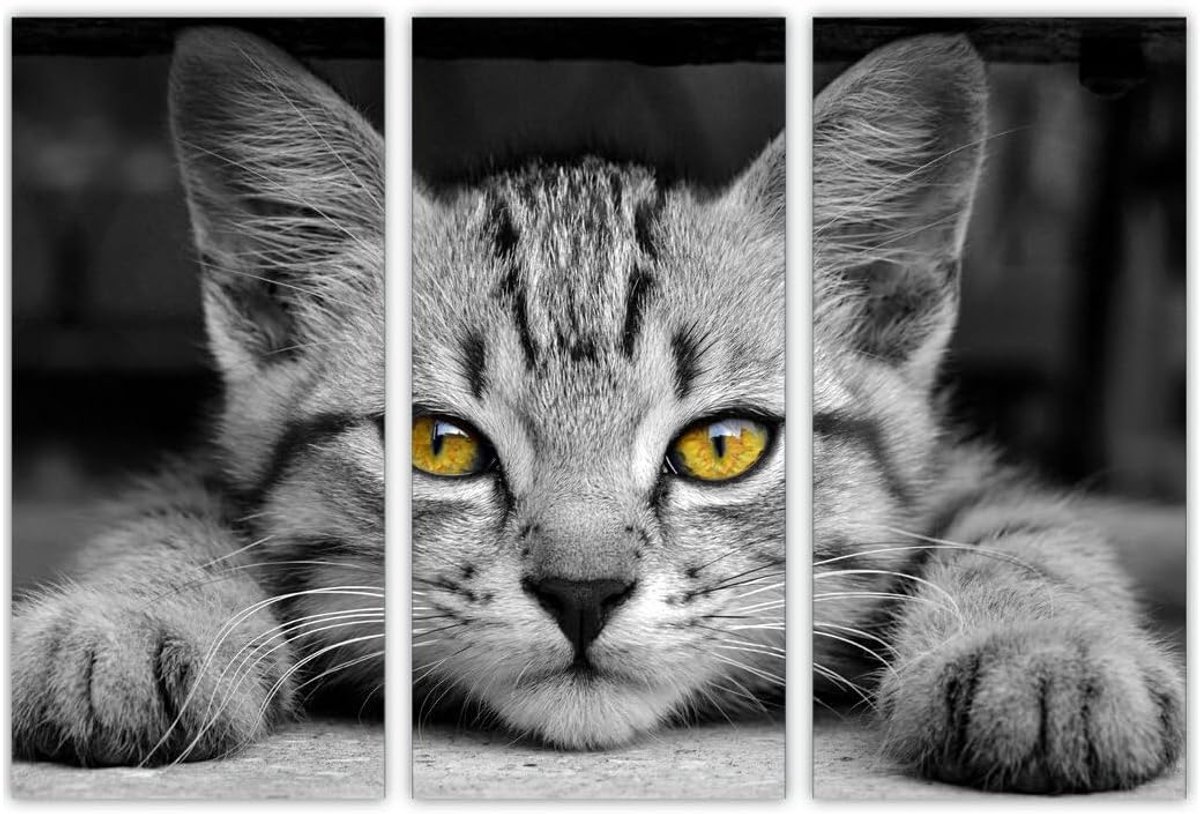 AREDE Set of 3 Wall Art Painting Picture Poster Black and White Kiiten, Kitty Art, Lazy Kitty (90x60cm) Home Office - ShopVlot