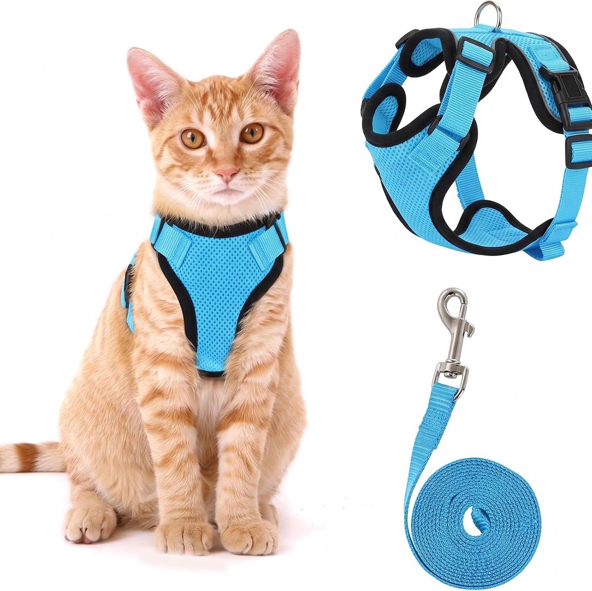 Kattenharnas voor kleine katten en kittens, maat M, zacht en ademend netvest voor wandelingen en training, hemelsblauw