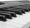 Close-up van de witte en zwarte toetsen van het MAX RhapsodyDP88S digitale piano keyboard.
