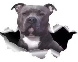 Pit Bull Terrier sticker 18 cm Pit Bull Terrier Car Sticker grappige Pit Bull Terrier 3D scheuren reflecterende autosticker bumper personaliseren grappig decor