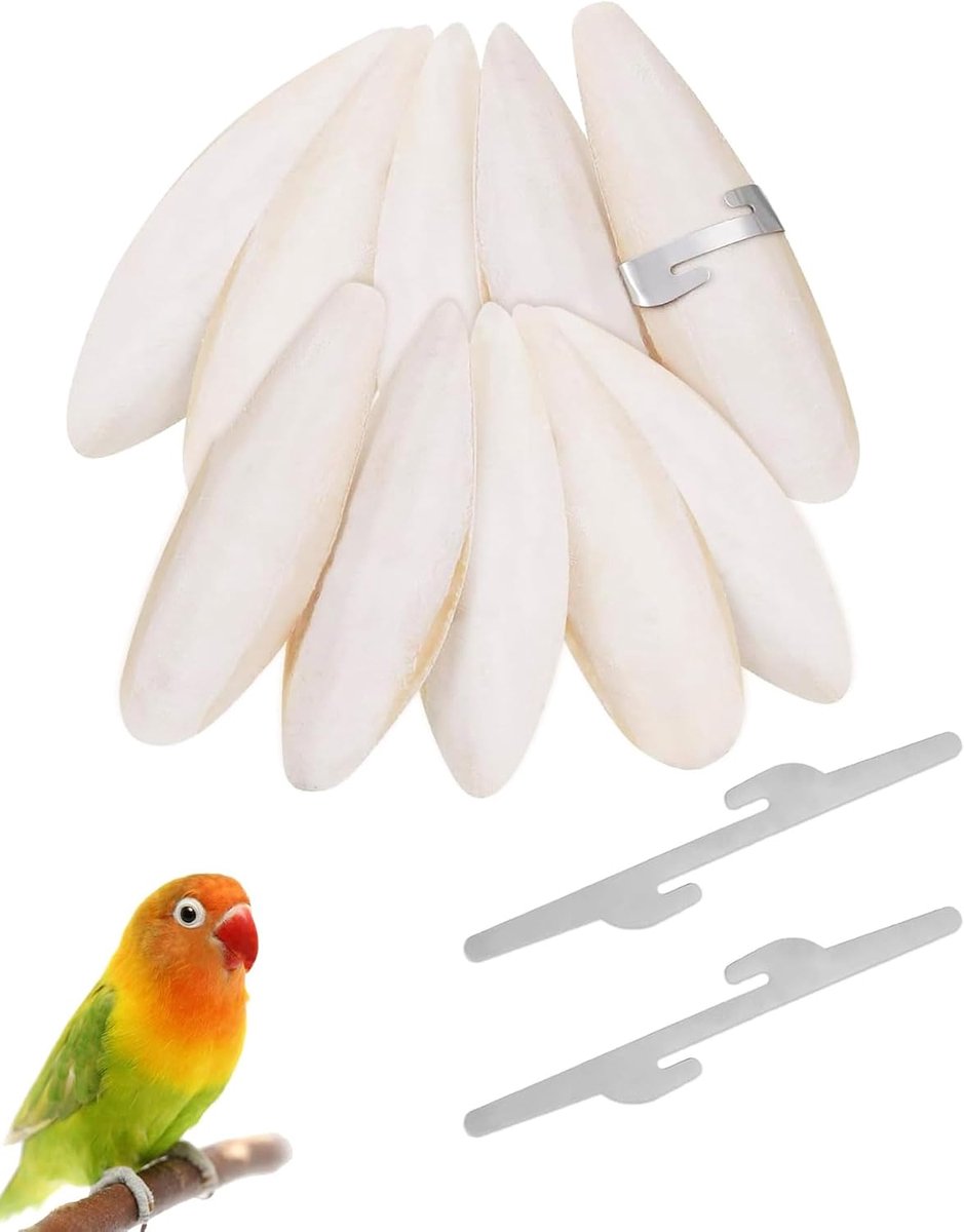 10 stuks natuurlijke sepia-botten voor vogels met 2 metalen clips, calciumpreparaat, kauwspeelgoed voor nimfen, kanarievogels, parkieten, kooi, accessoires voor vogels en huisdieren