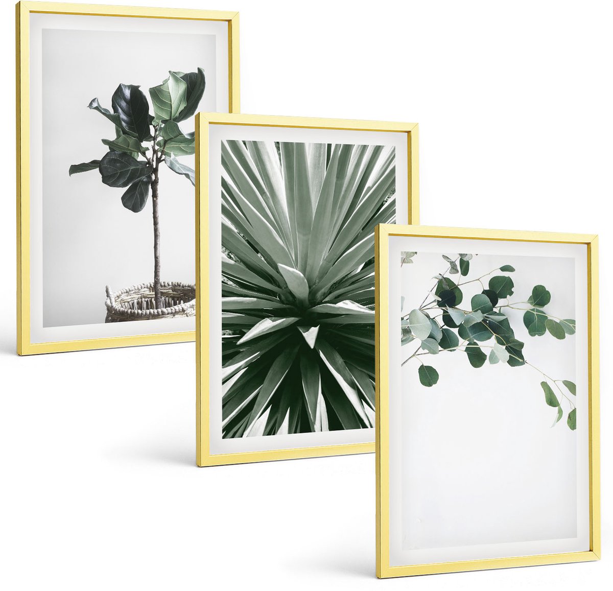 Coloray 3-Delige Schilderij Set - Groene Planten In Minimalistische Stijl Met Belettering - 40 x 40 cm En 40 x 60 cm - Decoratieve Schilderijen - Woonkamer - Interieur