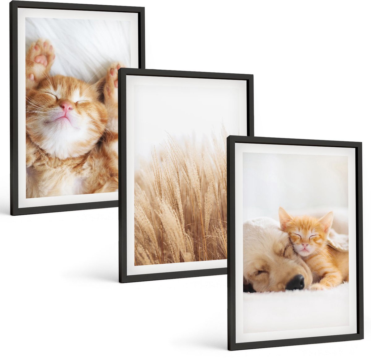 Coloray 3-Delige Schilderij Set - Schattige Dieren: Katten, Honden, Zacht Gras, Boho-Stijl. - 40 x 60 cm - Wanddecoratie - Schilderijen Set - Kantoor - Interieur Decoratie