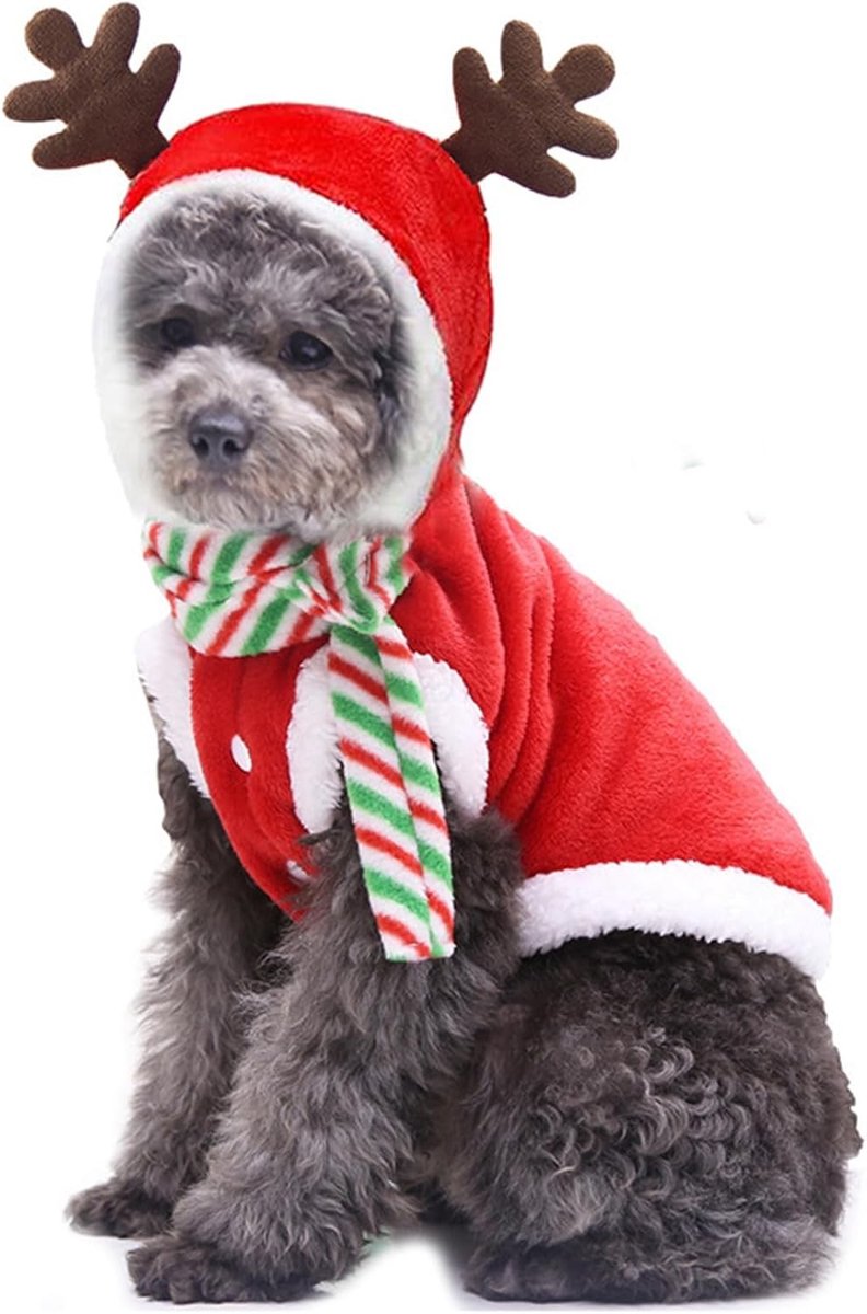 Kerstjas voor Honden en Katten, Santa Claus Kostuum voor Huisdieren - Maat L, Feestelijke Dierenoutfit, Wintermode, Dierenaccessoires
