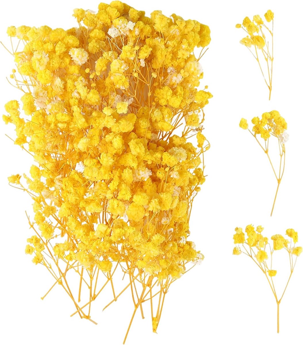 Gedroogde nevels, meerdere bloemknoppen Gypsophila, mist Gypsophila bloemen, natuurlijke gedroogde bloemen voor doe-het-zelf fotolijst, bladwijzers, wenskaarten (goudgeel)